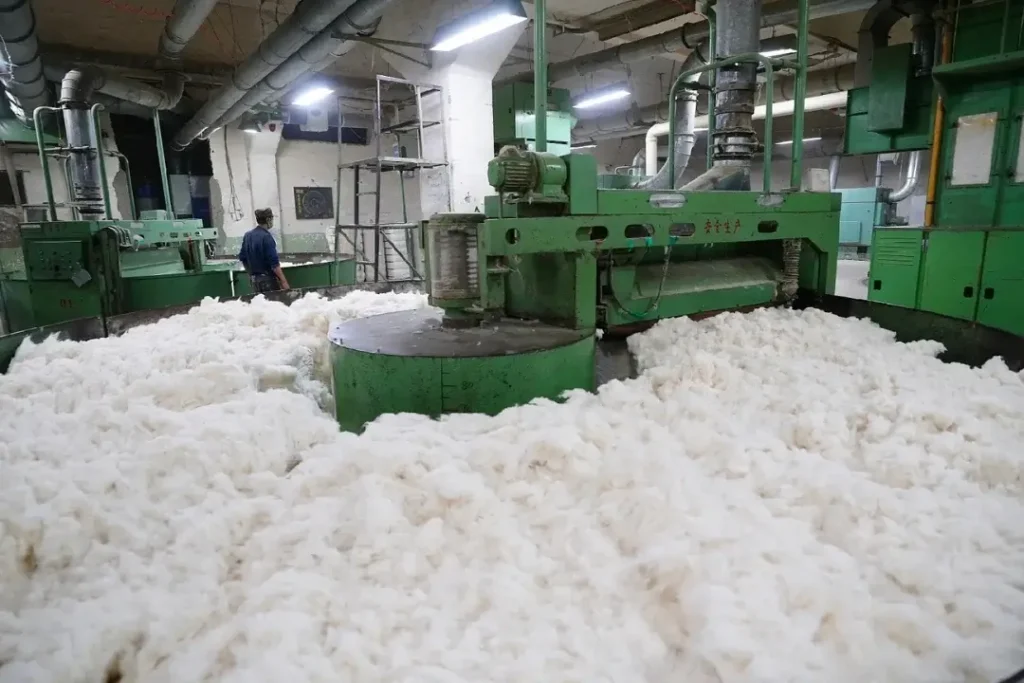 Overview of Pakistan’s Cotton Industry